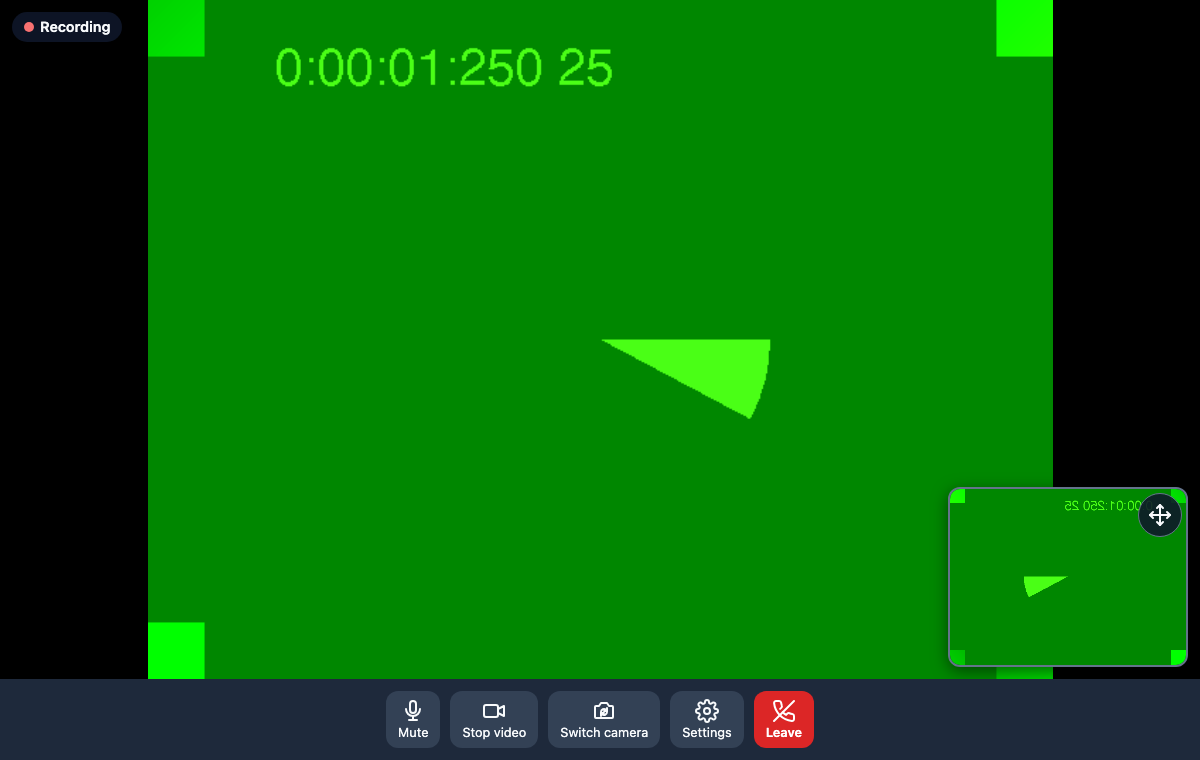 Video visit with the patient. Local and remote video, mute, camera, settings, leave, and a Recording badge.